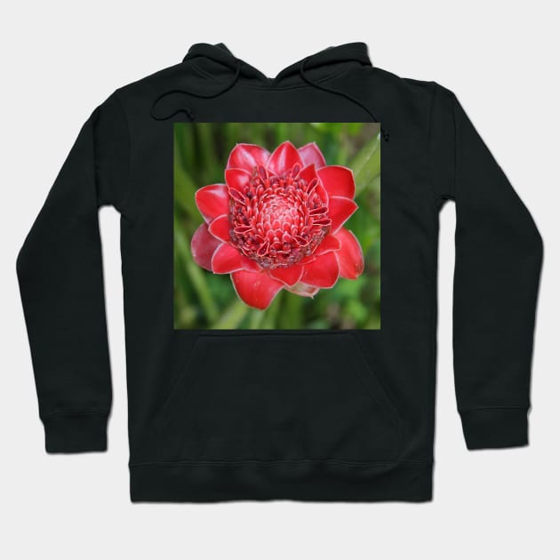 Ginger Flower Hoodie by Carole-Anne